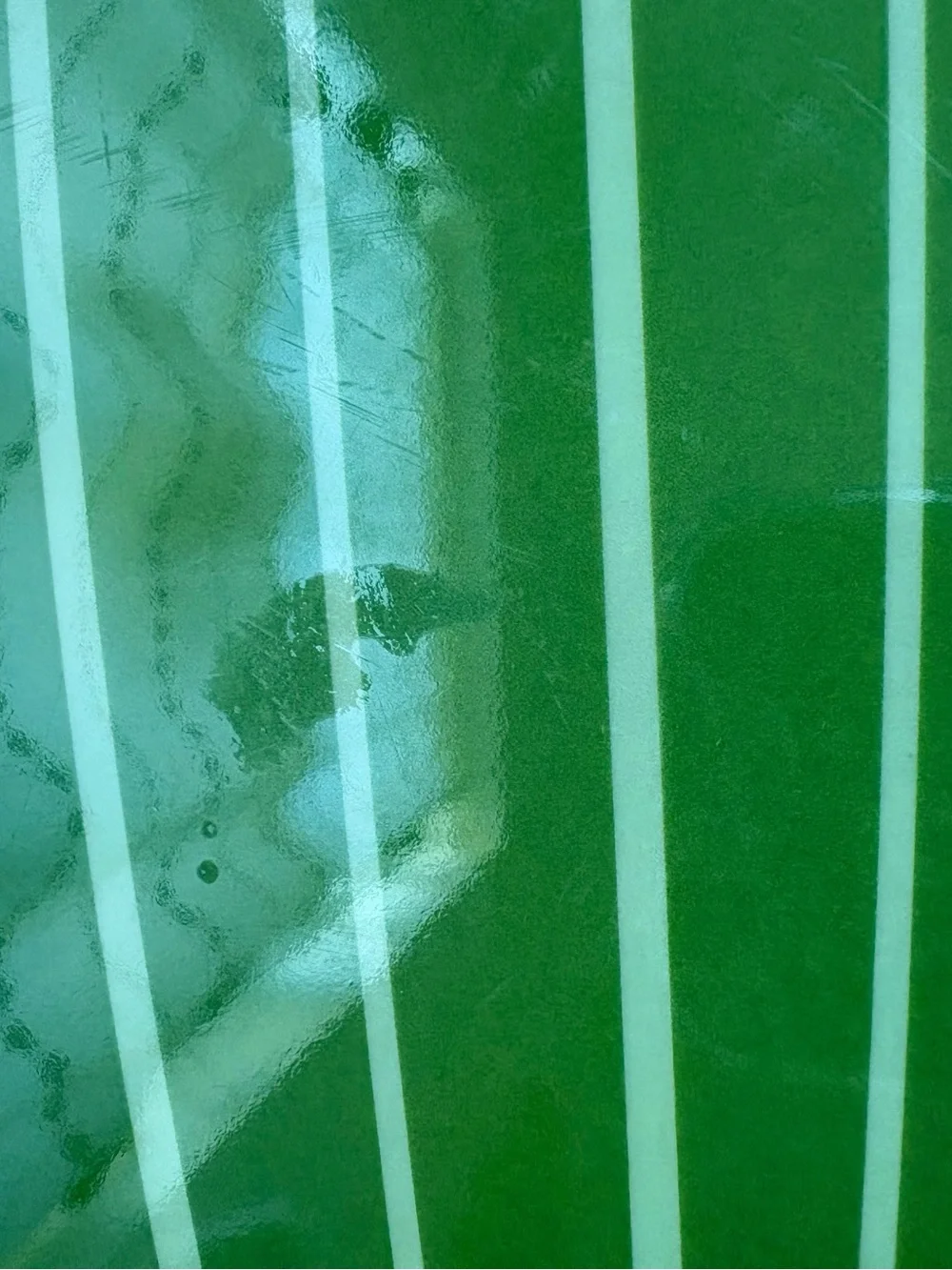 Jonathan Adler fish tray